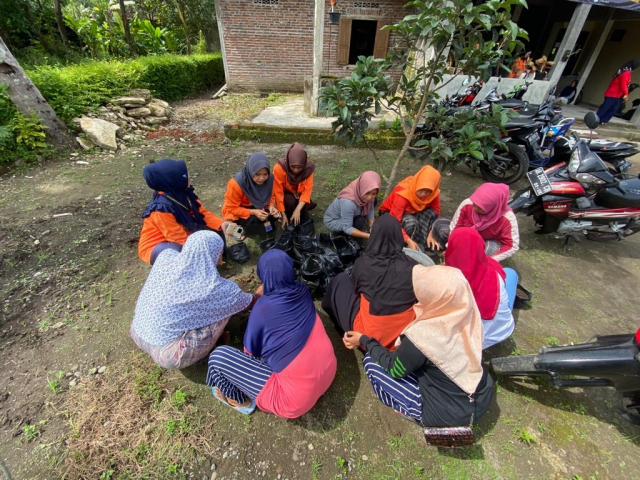 Mahasiswa Kkn Dorong Budi Daya Toga