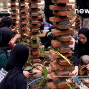 Penanaman Bibit Vanili oleh Tim PPKO Universitas Ahmad Dahlan (UAD) dan Sanggar Tani Muda Desa Pagerharjo (Dok. Eka)