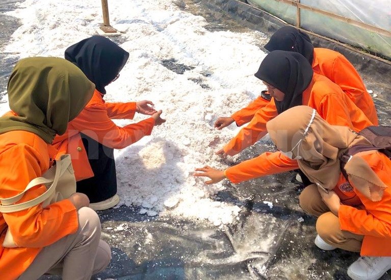 HMTP UAD Dukung Pengembangan Produksi Garam di Wonoroto Bantul